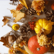 Herbst - Kürbisse, Blätter, Trockenblumen usw.