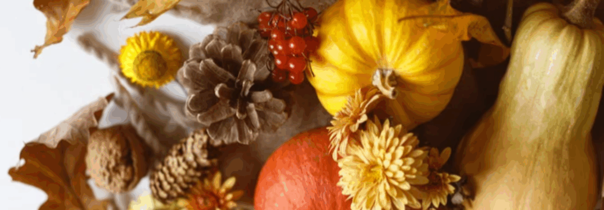 Herbst - Kürbisse, Blätter, Trockenblumen usw.