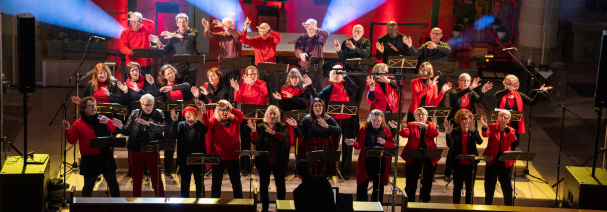 Bild des Chores AURIKULAR